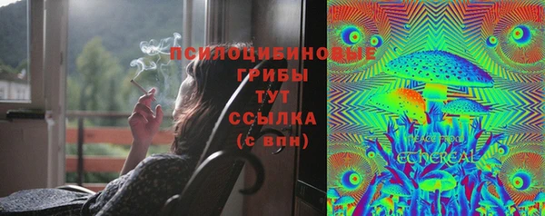 спиды Абинск