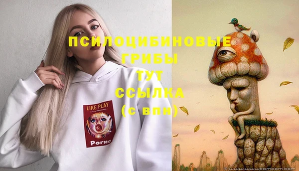 скорость Абаза