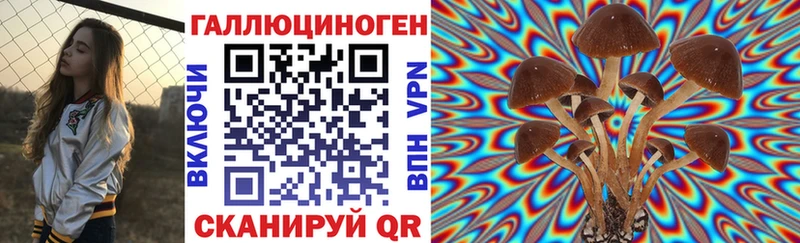 mega   Мурино  Псилоцибиновые грибы Magic Shrooms 